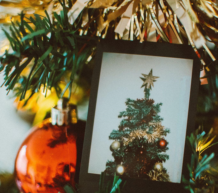 How to Find the Perfect Skinny Christmas Tree for Your Green Ornaments
