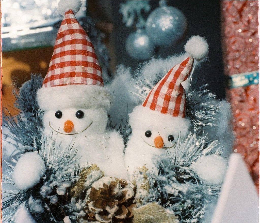 Elegant Skinny Christmas Trees and Loving Holiday Memories